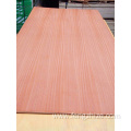 Cheap Price E1 Glue Pine Wood Plywood